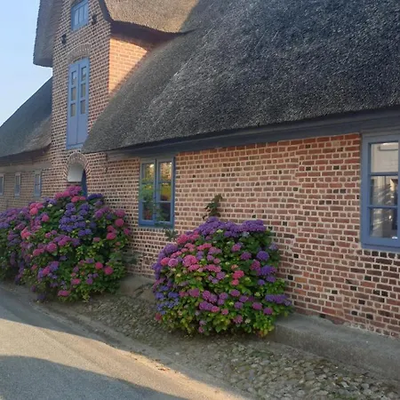 Casa vacanze Holm 17