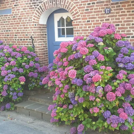 Casa vacanze Holm 17 Wyk auf Föhr